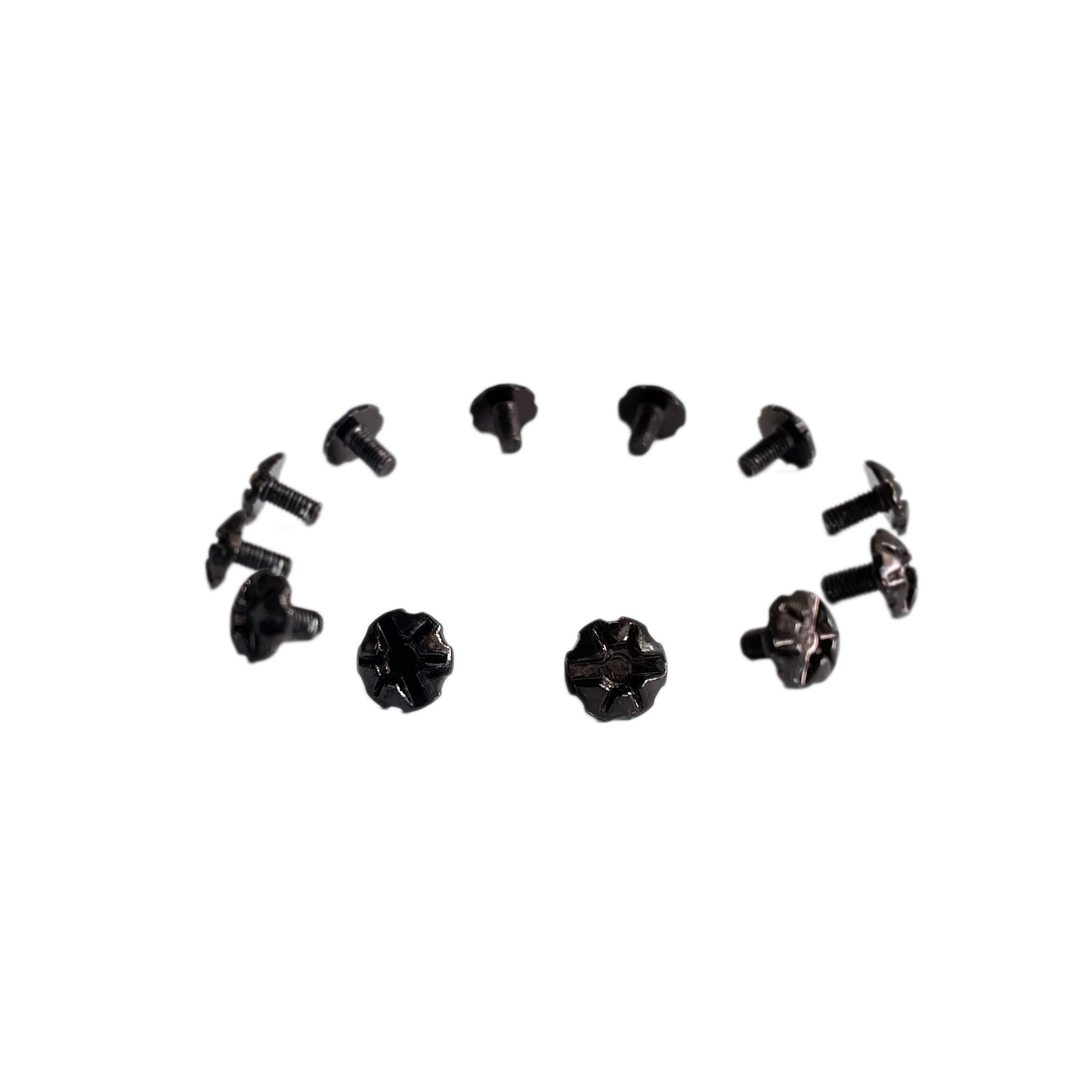 Luminary Visor Screws - Spare Parts|SPHXLK11